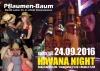 Pflaumenbaum Havanna Night